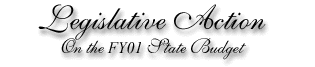 action.gif (5817 bytes)